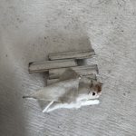 Dépannage rapide et pas cher des attaches rigides volet roulant à Turckheim près de Walbach